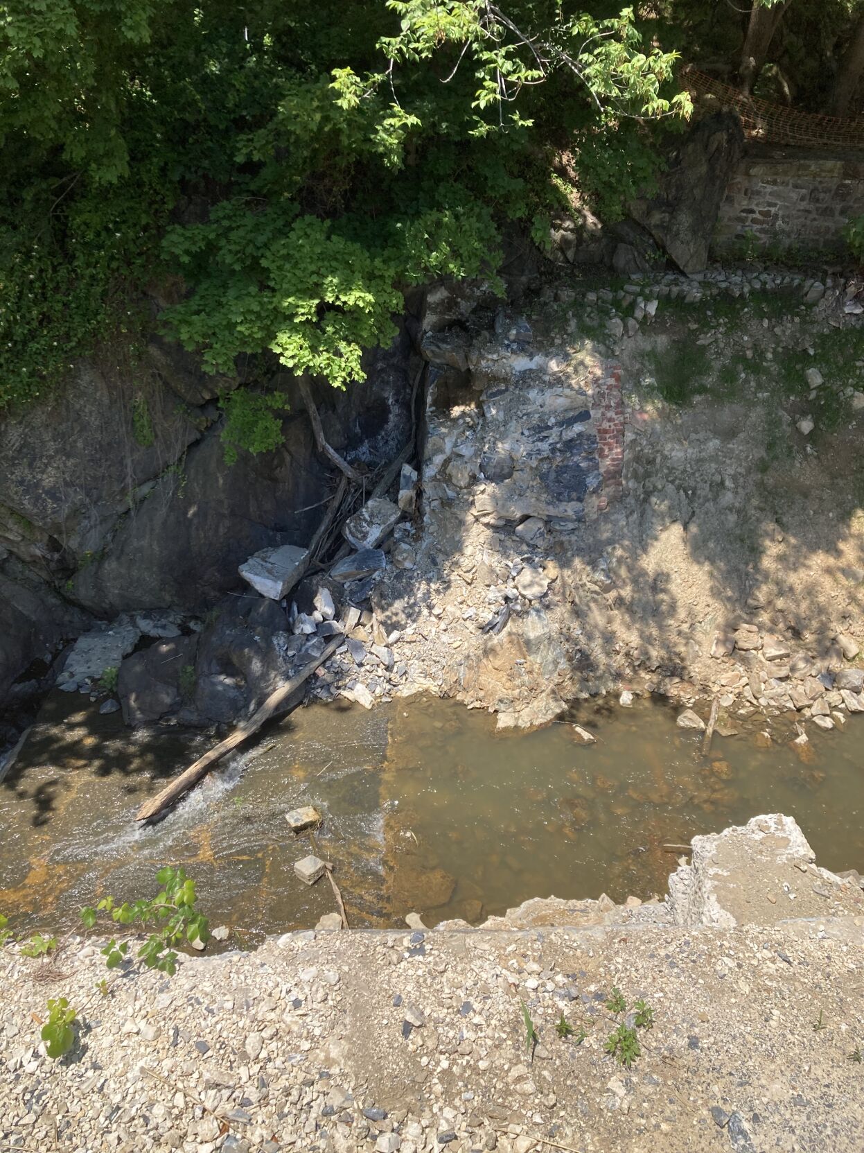 Lake Bernhart, June 2022